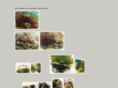 vividtrees.com