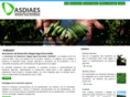 asdiaes.com