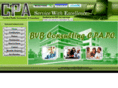 bvbconsultingcpapc.com