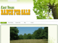 easttexasranchforsale.com