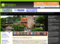 gatlinburgalive.com
