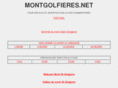 montgolfieres.net