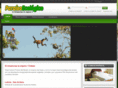 paraisoecologico.net