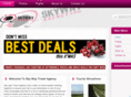 skywayagency.com