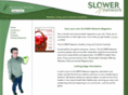 slowernetwork.com