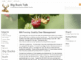 bigbucktalk.com