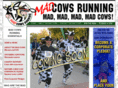 madcowsrunning.com