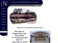 ocalaneurosurgical.com