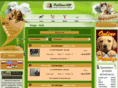 petstorevip.com