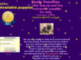 poofypoochies.net