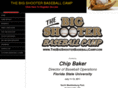 thebigshooterbaseballcamp.com