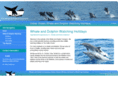 whale-and-dolphin.com