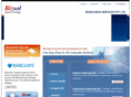 bizsolindia.com