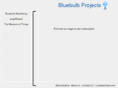 bluebulbprojects.com