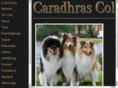 caradhrascollies.com