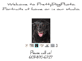 prettydogphoto.com