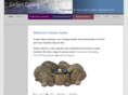 siloamcentre.com
