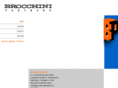 brocchinipartners.com
