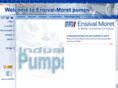 em-pumps.com