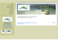 softnettep.com