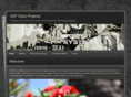 usfclassprojects.com