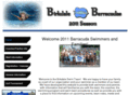 birkdaleswimteam.com