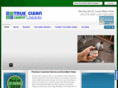 carpetcleanersstlouis.com