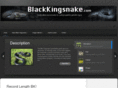 blackkingsnake.com