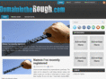 domainintherough.com