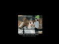 myitalianweddingphotographer.com