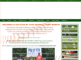 pitchbypitchbaseball.com