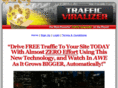trafficviralizer.com
