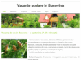 vacanta-bucovina.com