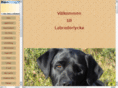 labradorlycka.com