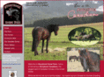 storybookhorsefarm.com