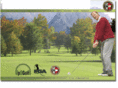 up2golf.com