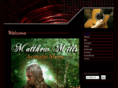 mattmillsacousticmusic.com