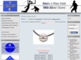 silverhoopsusa.com