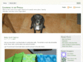 learningtobefrugal.com