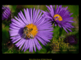 lightyearphotography.com