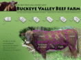 buckeyevalleybeeffarm.com