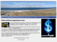 naturalgaslongisland.com