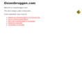ossenbruggen.com