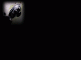 interprobe.net