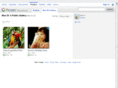 mandycheng.com