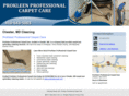 prokleencarpet1.com