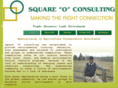 squareoconsulting.com