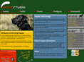 fetchstudio.com