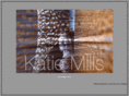 millsworks.co.uk