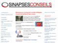 sinapsesconseils.net